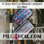 À Quoi Sert Le Miracle Léopard Du Miel 36